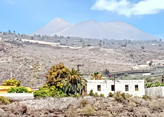 Lägenhet Modern In - 65 Sqm - Mountain View